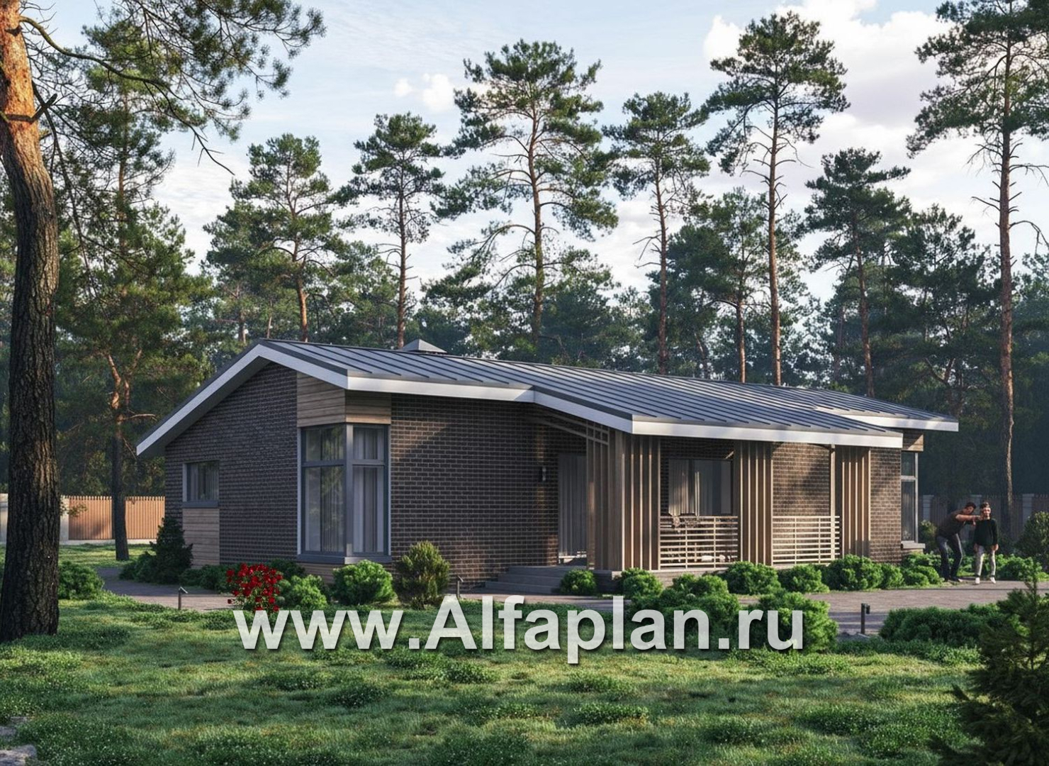 «Алладин» - проект одноэтажного дома, мастер спальня, с террасой и красивым потолком гостиной со стропилами - основное изображение