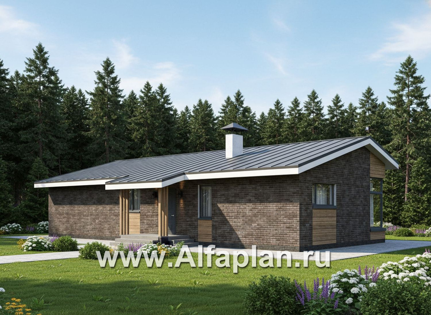 «Алладин» - проект одноэтажного дома, мастер спальня, с террасой и красивым потолком гостиной со стропилами - дизайн дома №3