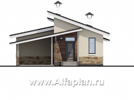Проекты домов Альфаплан - «Дриада» - одноэтажный дом --навесом - превью фасада №1