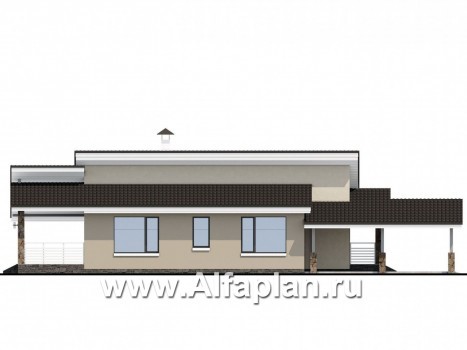 Проекты домов Альфаплан - «Дриада» - одноэтажный дом --навесом - превью фасада №3