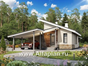Проекты домов Альфаплан - «Дриада» - одноэтажный дом --навесом - превью основного изображения